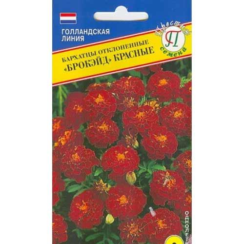 Бархатцы отклоненные Брокейд красные Престиж изображение 1 артикул 84454