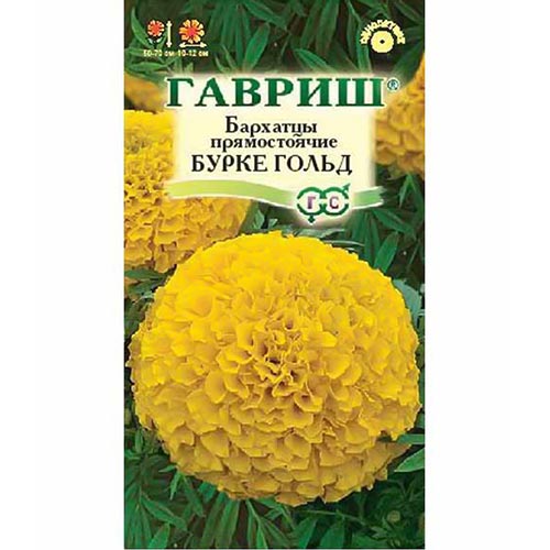 Бархатцы Бурке Голд, семена изображение 1 артикул 91959