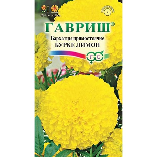 Бархатцы Бурке Лимон, семена изображение 1 артикул 91960