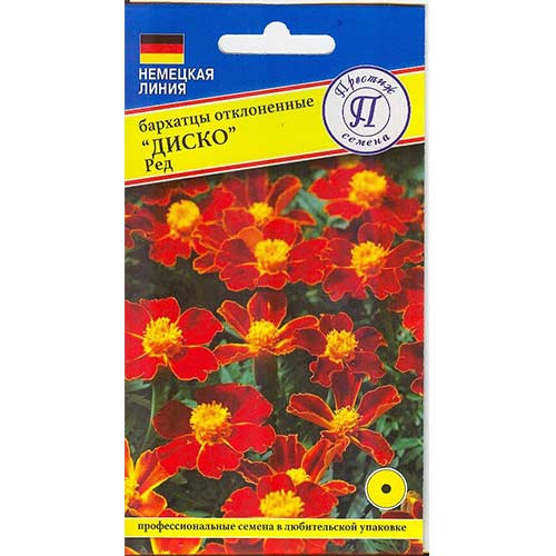 Бархатцы Диско Ред Престиж изображение 1 артикул 65810
