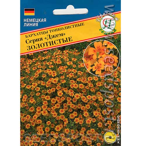 Бархатцы Джем Золотистые Престиж изображение 1 артикул 81306