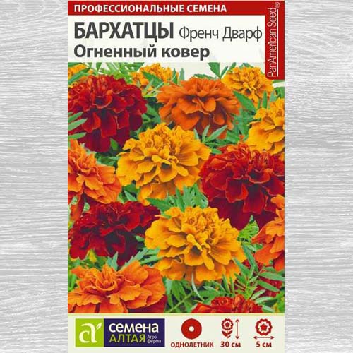 Бархатцы Френч Дварф Огненный ковер, смесь окрасок изображение 1 артикул 78130