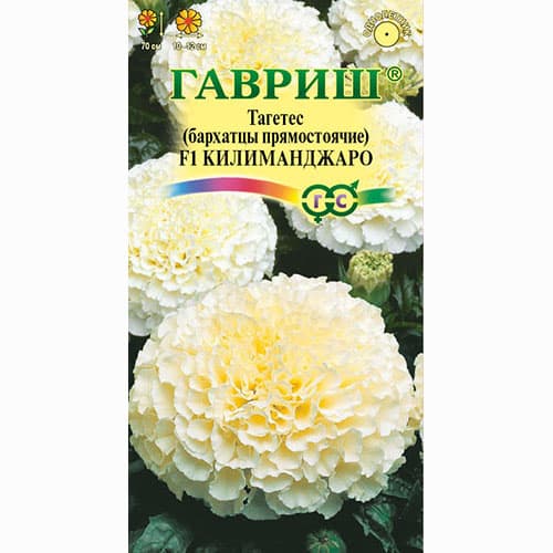 Бархатцы прямостоячие (тагетес) Килиманджаро F1 Гавриш артикул фото 1 Бархатцы прямостоячие (тагетес) Килиманджаро F1 Гавриш изображение 1 артикул 91965