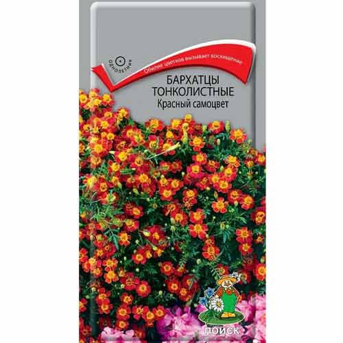 Бархатцы тонколистные Красный самоцвет Поиск изображение 1 артикул 82080