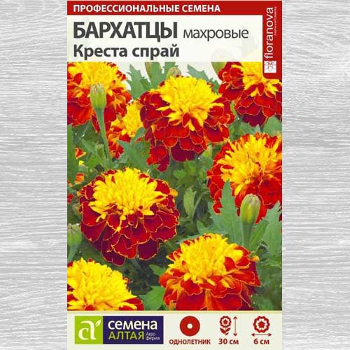 Бархатцы Креста Спрай изображение 1 артикул 78125