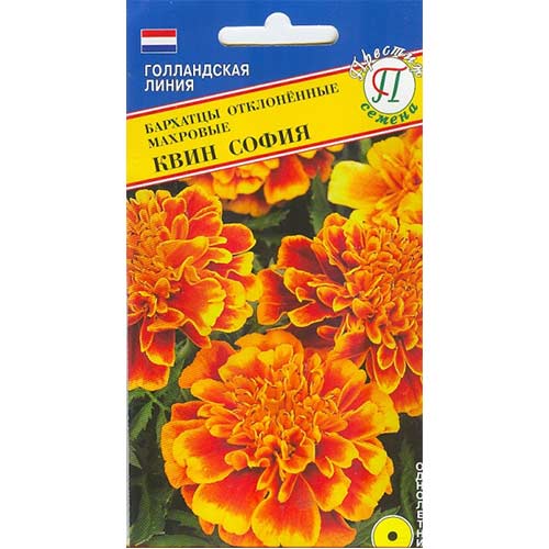Бархатцы Квин София Престиж изображение 1 артикул 81308