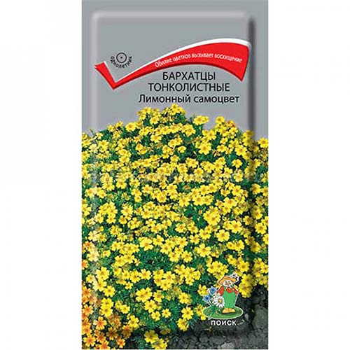 Бархатцы Лимонный самоцвет Поиск изображение 1 артикул 82081