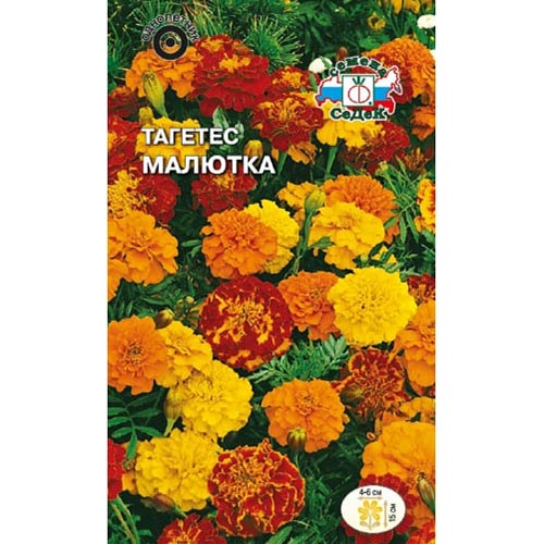 Бархатцы Малютка, смесь окрасок изображение 1 артикул 93665