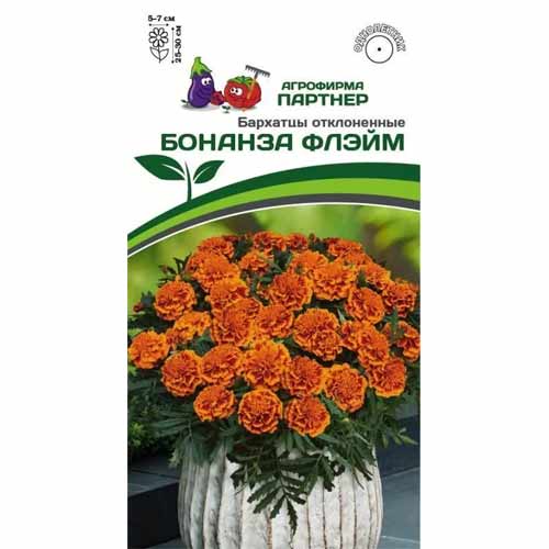 Бархатцы отклоненные Бонанза Флэйм Партнер изображение 1 артикул 88060