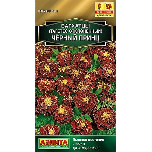 Бархатцы отклоненные Черный принц Аэлита изображение 1 артикул 40300