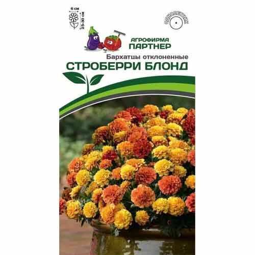 Бархатцы отклоненные Строберри Блонд Партнер изображение 1 артикул 40738