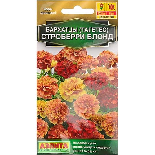 Бархатцы отклоненный (тагетес) Строберри блонд Аэлита изображение 1 артикул 98872