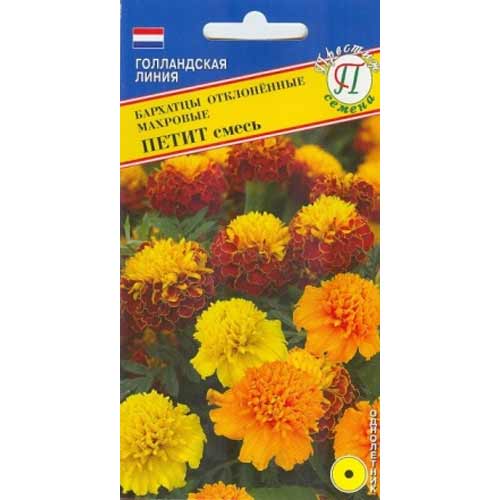 Бархатцы отклоненные махровые Петит Престиж изображение 1 артикул 84457