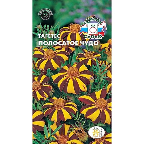 Бархатцы Полосатое чудо, семена изображение 1 артикул 93667