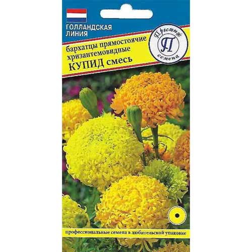Бархатцы прямостоящие хризантемовидные Купид, смесь окрасок Престиж изображение 1 артикул 73625