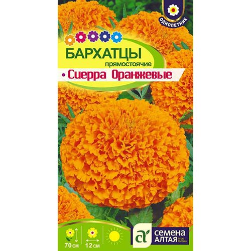 Бархатцы Сиерра оранжевые Семена Алтая изображение 1 артикул 81626