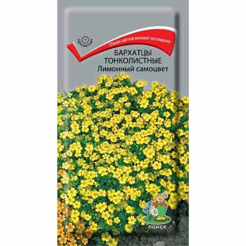 Бархатцы тонколистные Лимонный самоцвет Поиск изображение 1 артикул 97866
