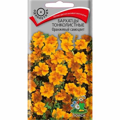 Бархатцы тонколистные Оранжевый самоцвет Поиск изображение 1 артикул 97867