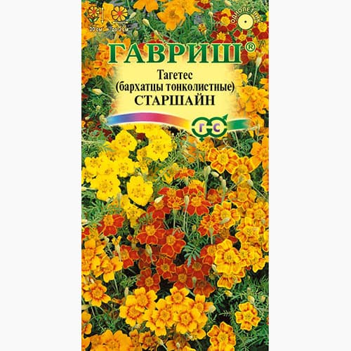 Бархатцы тонколистные (тагетес) Старшайн Гавриш изображение 1 артикул 97604
