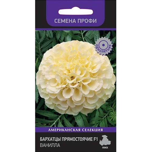 Бархатцы Ванилла F1, семена изображение 1 артикул 92904