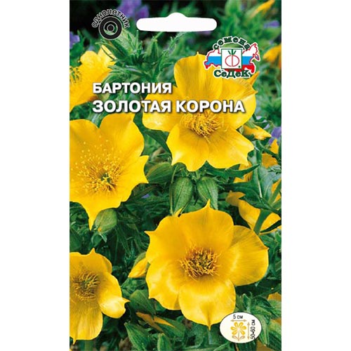 Бартония Золотая корона, семена изображение 1 артикул 93660