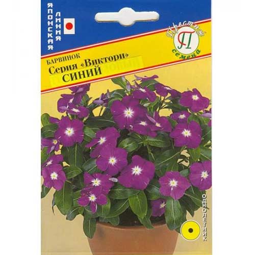 Барвинок Виктори Синий Престиж изображение 1 артикул 71423