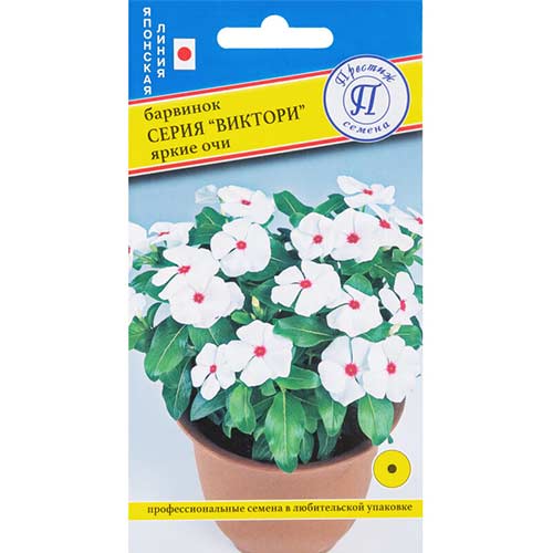 Барвинок Виктори Яркие очи Престиж артикул фото 1 Барвинок Виктори Яркие очи Престиж изображение 1 артикул 71424