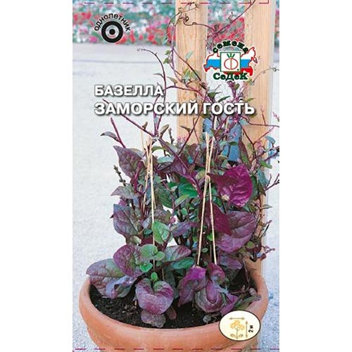 Базелла Заморский гость, семена изображение 1 артикул 93655