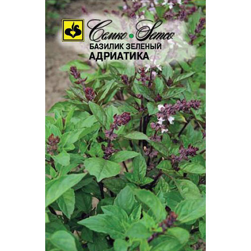 Базилик Адриатика Семко изображение 1 артикул 84150