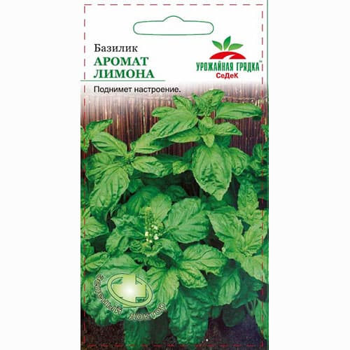 Базилик Аромат лимона Седек изображение 1 артикул 84862