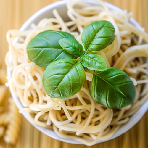 Базилик Для спагетти Седек изображение 1 артикул 84863