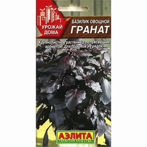 Базилик Гранат Аэлита изображение 1 артикул 40011