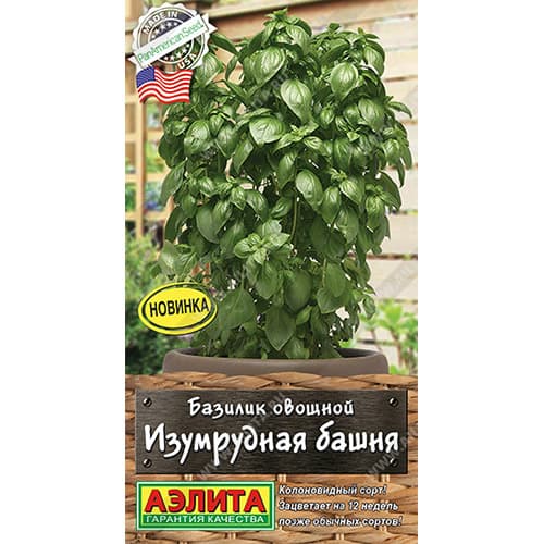 Базилик Изумрудная башня Аэлита артикул фото 1 Базилик Изумрудная башня Аэлита изображение 1 артикул 98199