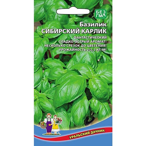 Базилик Карлик сибирский, семена изображение 1 артикул 94456