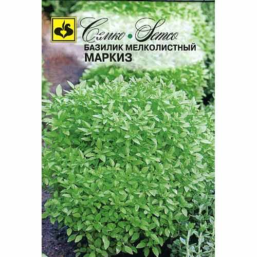 Базилик мелколистный Маркиз зеленый Семко артикул фото 1 Базилик мелколистный Маркиз зеленый Семко изображение 1 артикул 82646