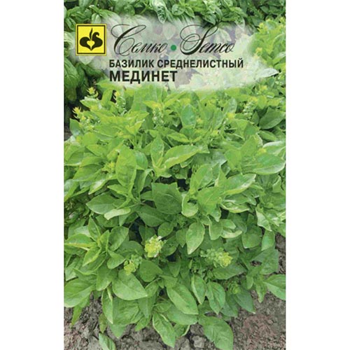 Базилик Мединет, семена артикул фото 1 Базилик Мединет, семена изображение 1 артикул 94230
