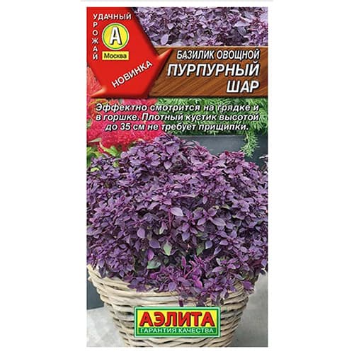 Базилик Пурпурный шар Аэлита артикул фото 1 Базилик Пурпурный шар Аэлита изображение 1 артикул 98201