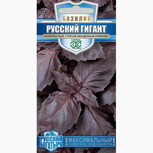 Базилик Русский гигант фиолетовый Гавриш изображение 1 артикул 65201