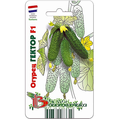 Огурец Гектор F1 изображение 1 артикул 82694