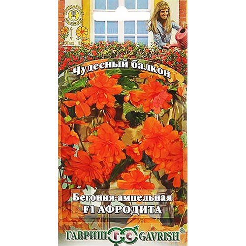 Бегония Афродита F1, семена изображение 1 артикул 91972