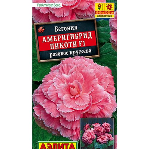 Бегония Америгибрид Пикоти розовое кружево F1 Аэлита изображение 1 артикул 98883