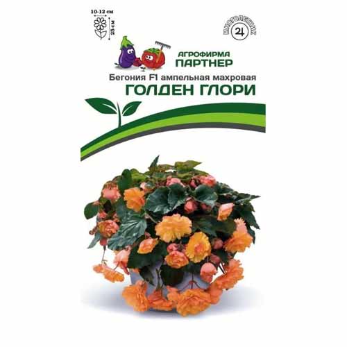 Бегония ампельная махровая Голден Глори F1 Партнер изображение 1 артикул 40802