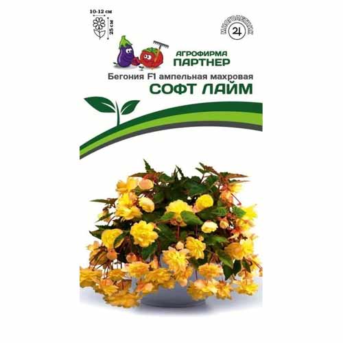Бегония ампельная махровая Софт Лайм F1 Партнер изображение 1 артикул 40804