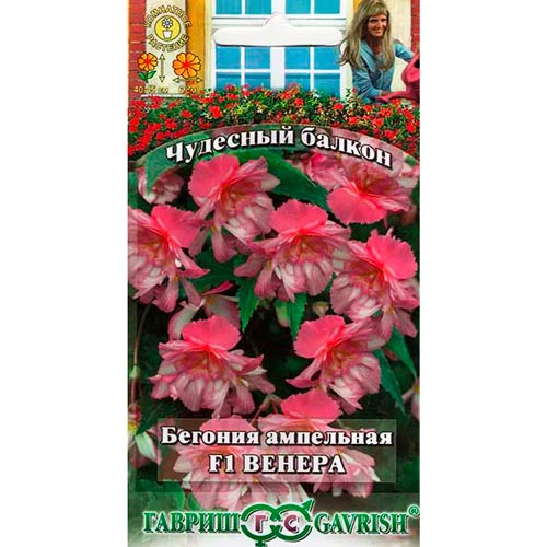 Бегония ампельная Венера F1 Гавриш изображение 1 артикул 87918