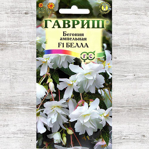 Бегония Белла F1 Гавриш изображение 1 артикул 73723