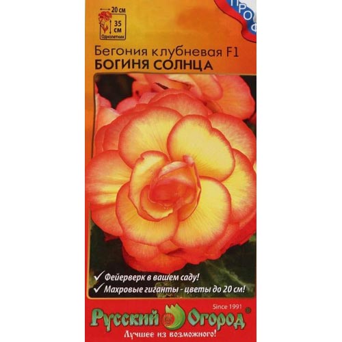 Бегония Богиня солнца F1, семена изображение 1 артикул 92466