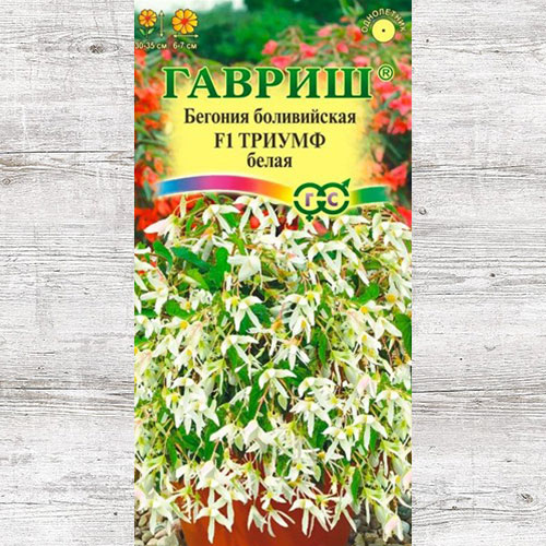 Бегония боливийская Триумф белая F1 Гавриш изображение 1 артикул 73725