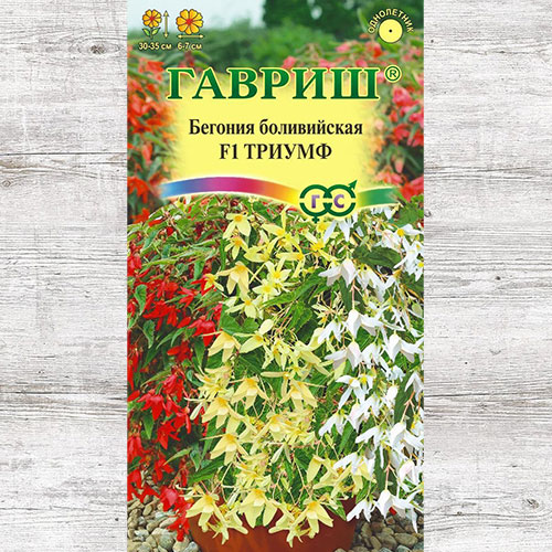 Бегония боливийская Триумф F1, смесь окрасок Гавриш изображение 1 артикул 66027