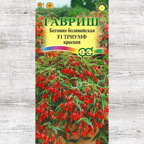 Бегония боливийская Триумф красная F1 Гавриш артикул фото 1 Бегония боливийская Триумф красная F1 Гавриш изображение 1 артикул 73727