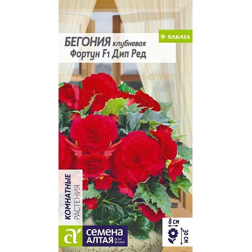 Бегония Фортун Дип Ред F1 Семена Алтая артикул фото 1 Бегония Фортун Дип Ред F1 Семена Алтая изображение 1 артикул 81629